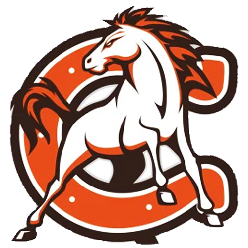 Cumberland HS logo