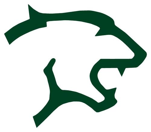 Schalick HS logo