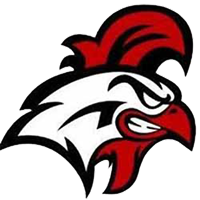 Vineland HS logo